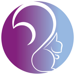 Innovamatica